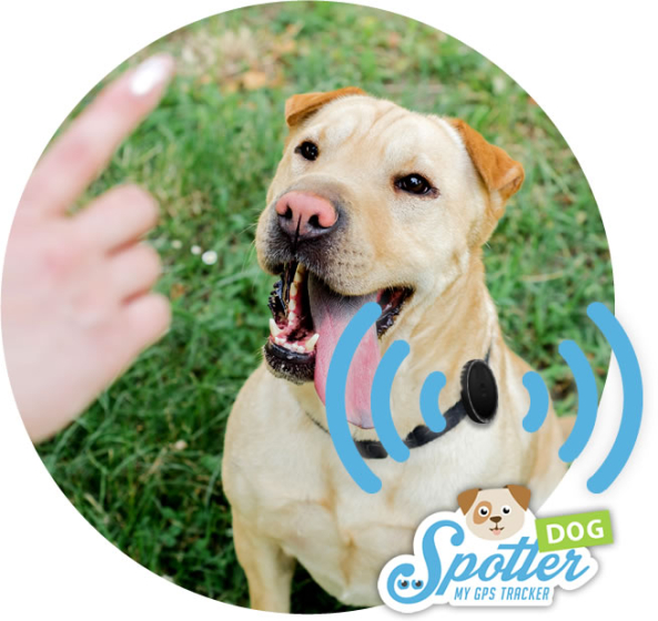 Pet Spotter - Hunde-Tracker