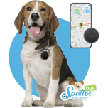 Pet Spotter - Dog tracker