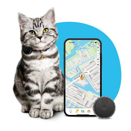 Kat GPS tracker - Pet Spotter poes en app