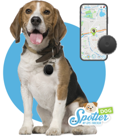 Hond GPS tracker - Pet Spotter hond